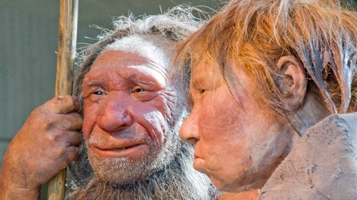 Scientists detect evidence of extinct human cousin in modern DNA 